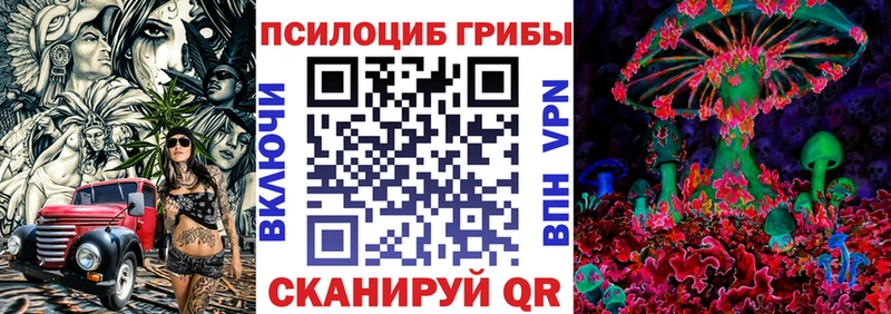Галлюциногенные грибы Psilocybine cubensis  Ахтубинск 