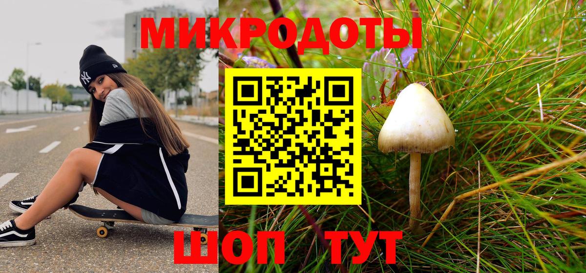 Галлюциногенные грибы Psilocybine cubensis  наркотики  Вход с VPN  Ахтубинск  Галлюциногенные грибы мицелий 